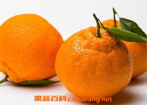 丑柑的功效与作用