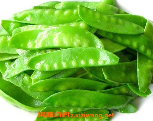 荷兰豆