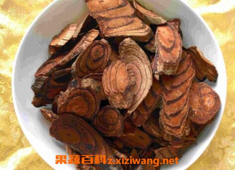 鸡血藤的作用及食用方法