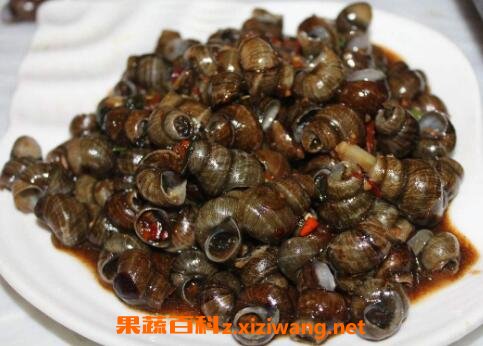 田螺怎么洗最快最干净