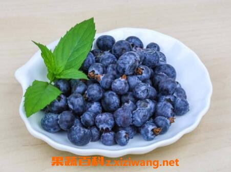 蓝莓怎么洗 蓝莓的正确清洗方法