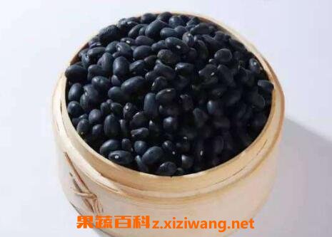 黑豆怎么吃有营养