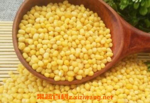 去皮绿豆的功效与作用