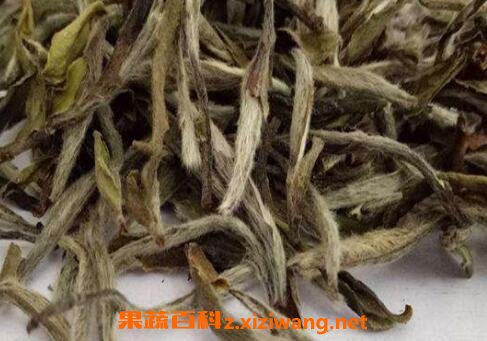 普洱白茶怎么保存 普洱白茶能存放多久