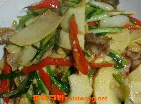新鲜冬笋怎么弄好吃
