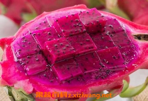 吃火龙果有哪些好处和坏处