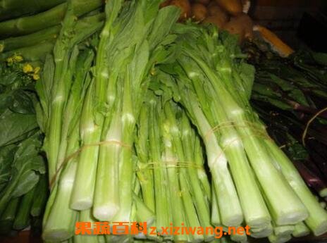 白菜苔的营养价值和营养成分