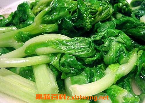 白菜苔的营养价值和营养成分