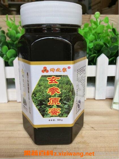 玄参蜂蜜