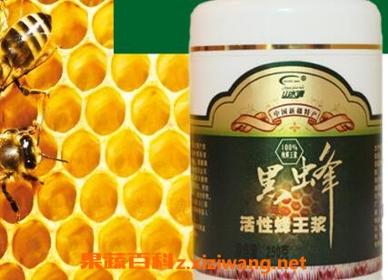 黑蜂王浆