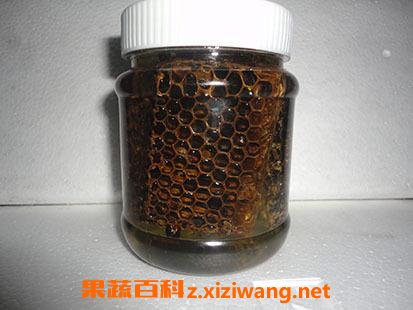 黑蜂王浆