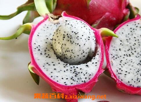 白肉火龙果的功效与作用
