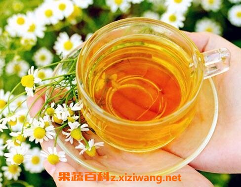 野菊花蜂蜜
