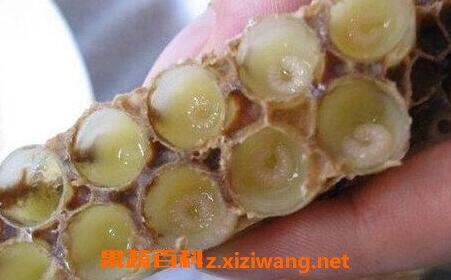 蜂王浆