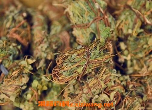 鸡骨草的功效与作用及药用价值