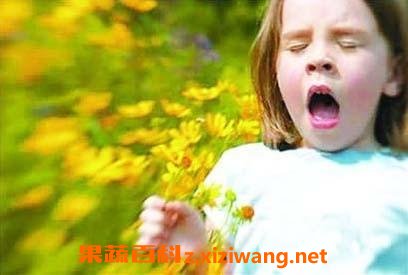花粉过敏