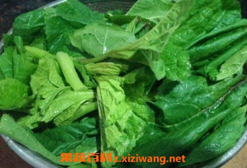 冬苋菜的功效 吃冬苋菜的好处