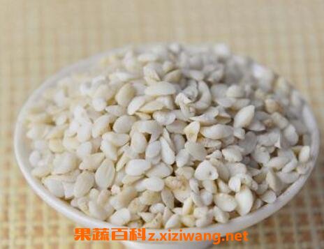中药鱼枕骨的功效和作用及药用价值
