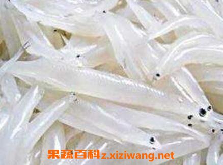 银鱼的营养价值及功效