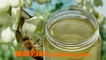 洋槐花蜂蜜