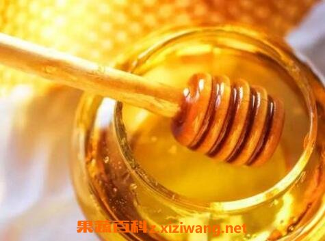 蒸蜂蜜的功效与作用