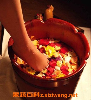 藏红花泡脚