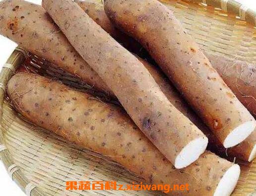紫薯山药有什么好处和坏处