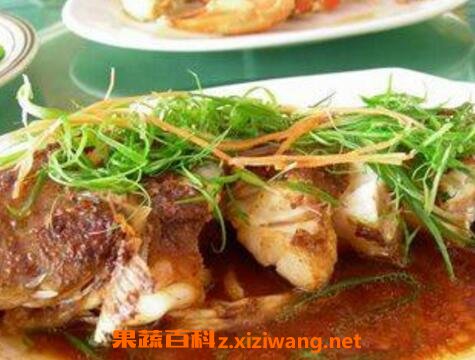 牛尾鱼的功效与作用