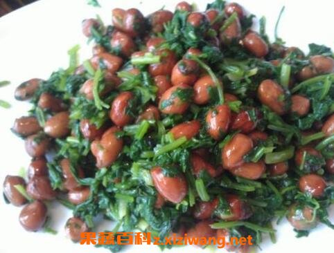香菜怎么吃 香菜的吃法技巧