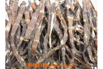 食用竹笋干的功效与作用