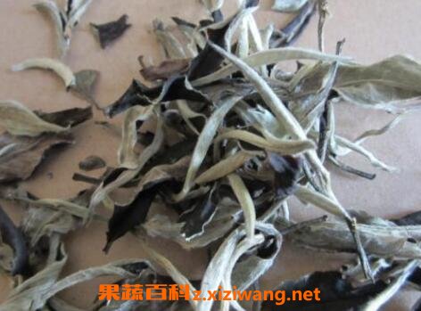 散装云南白茶怎么保存