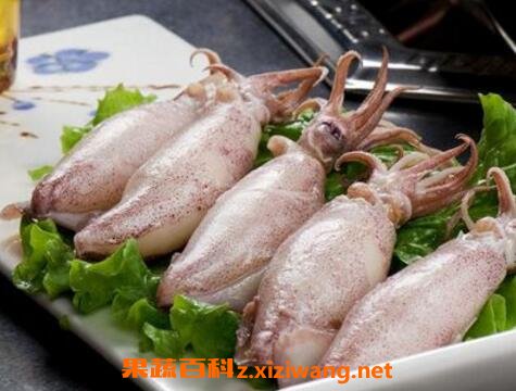 墨鱼对孩子的功效
