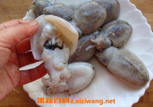 墨鱼对孩子的功效