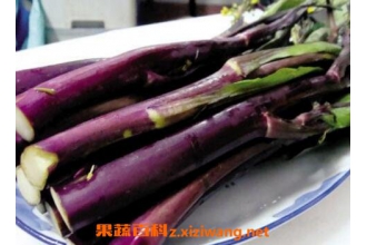 紫菜苔的功效与作用