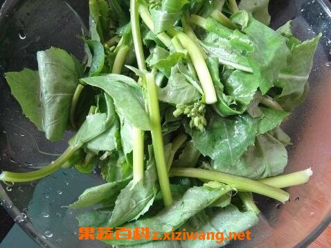韩国油菜苔的腌制方法
