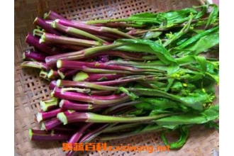 吃紫菜苔有什么好处 吃紫菜苔的功效与作用