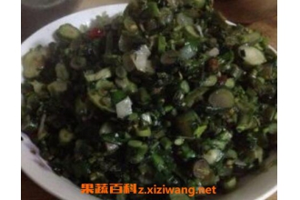 冲菜苔图片 冲菜苔怎么做好吃