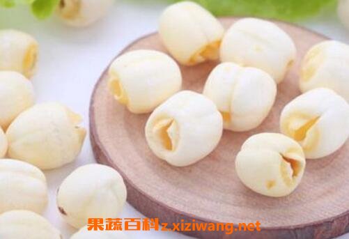莲子怎么吃最好