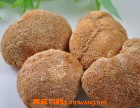 猴头菇怎么吃最养胃