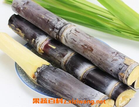 孕妇可以吃甘蔗吗 孕妇吃甘蔗的好处和坏处