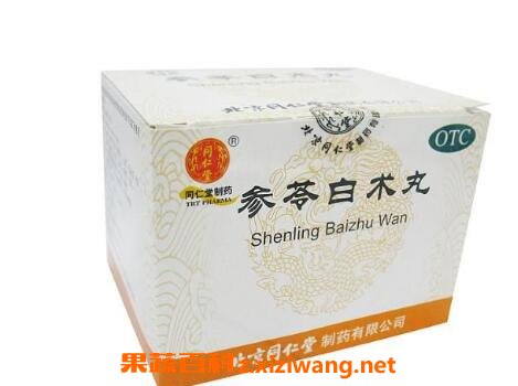 参苓白术丸的功效与作用