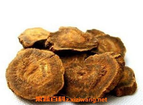 大黄的功效与作用及药用价值