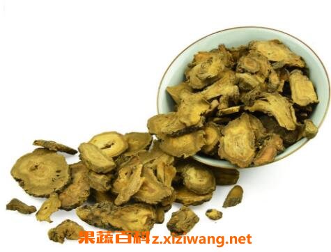 大黄的功效与作用及药用价值