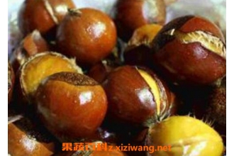 剥生板栗皮的最快方法