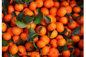 吃沙糖桔上火吗 沙糖桔怎么吃不上火