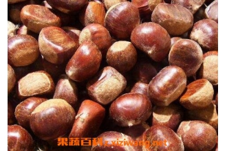 板栗怎么保存不会坏 板栗保存方