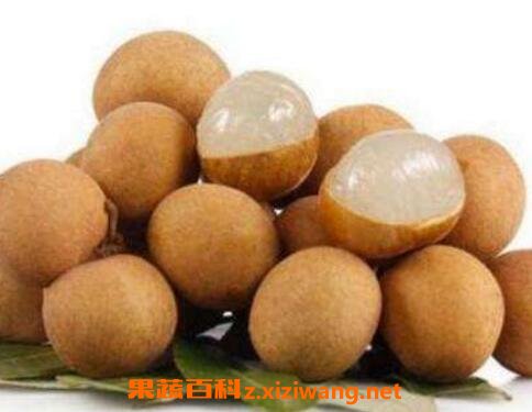 桂圆上火吗 吃多了桂圆上火怎么办