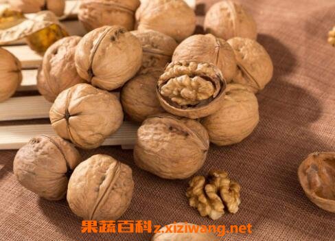 核桃怎么挑选 核桃的选购技巧