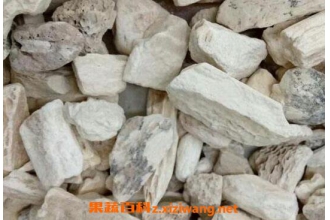 龙骨的功效与作用及药用价值