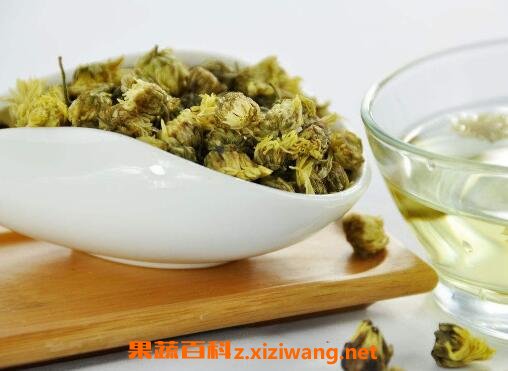 菊花茶有哪些功效与作用 菊花茶怎么做